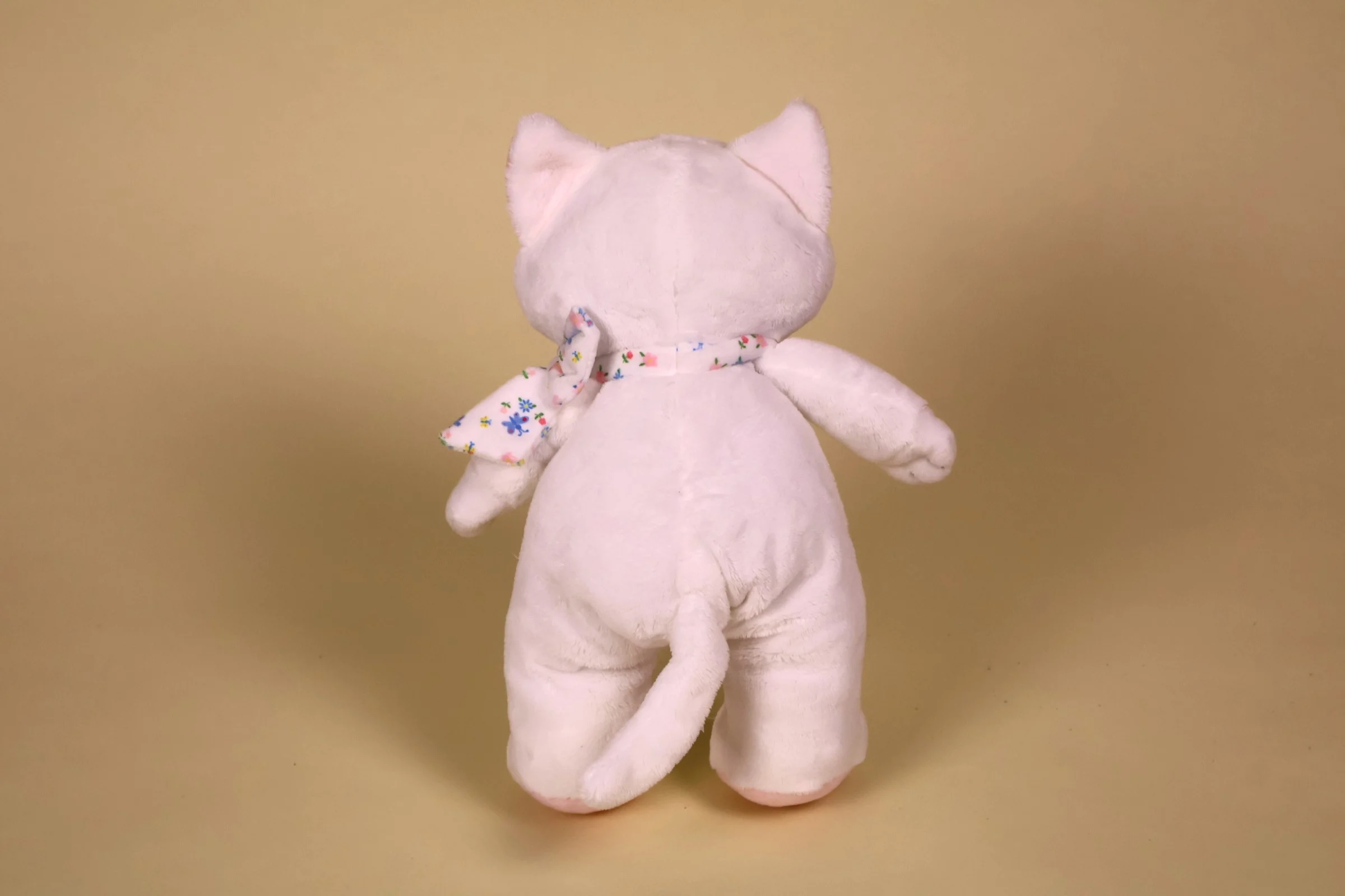 chat blanc echarpe fleur dos