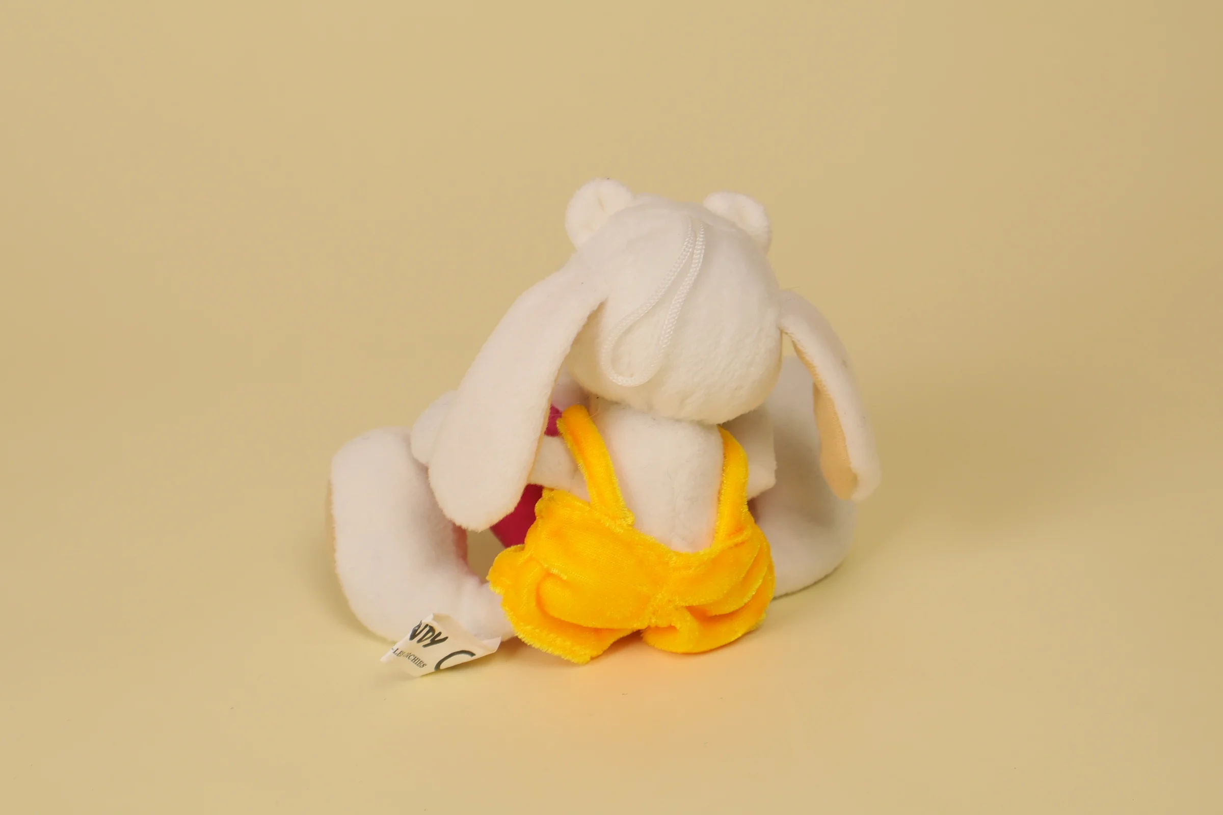 petit chien Cœur rose dos