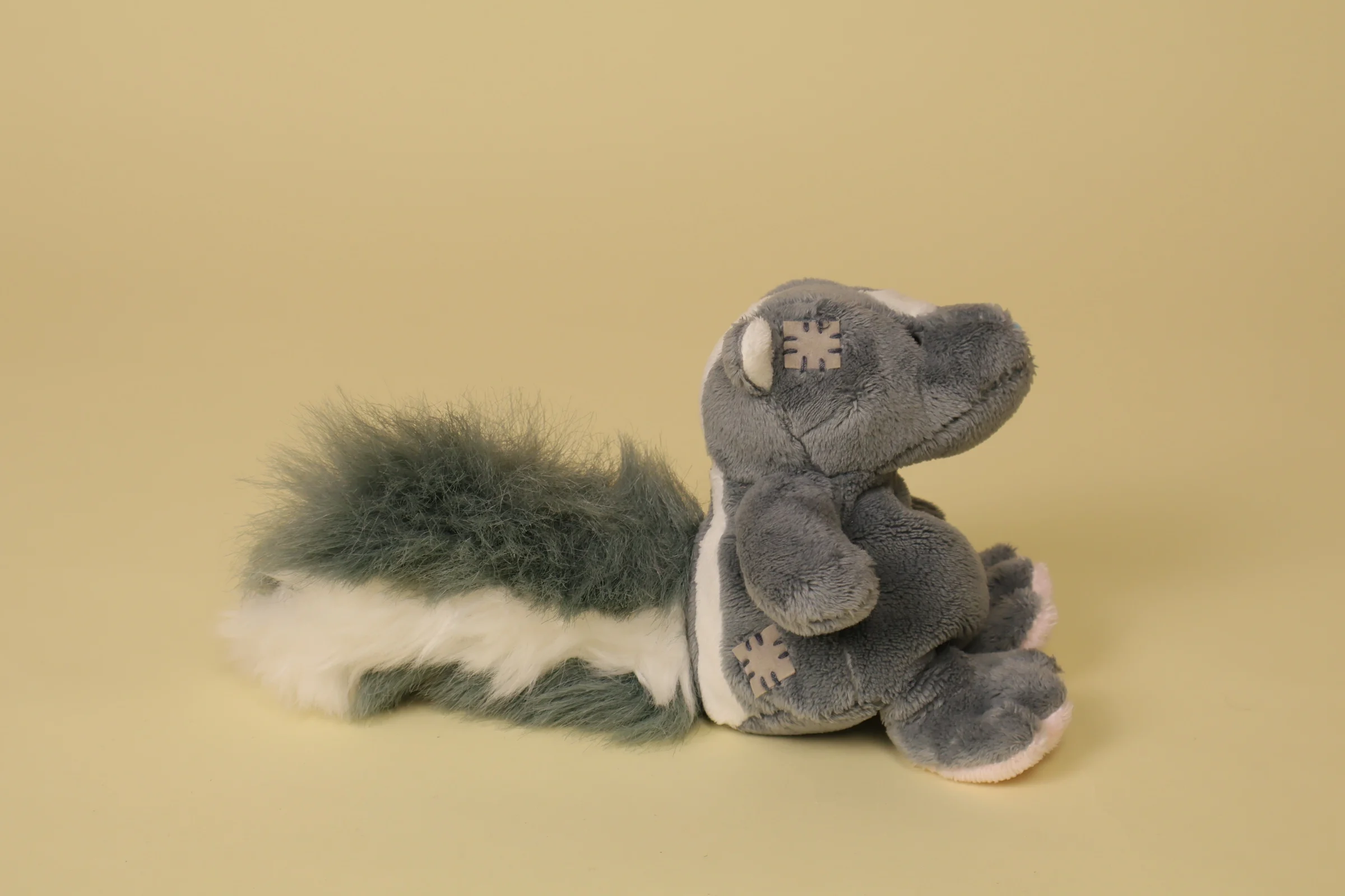 mini blaireau blue nose profil