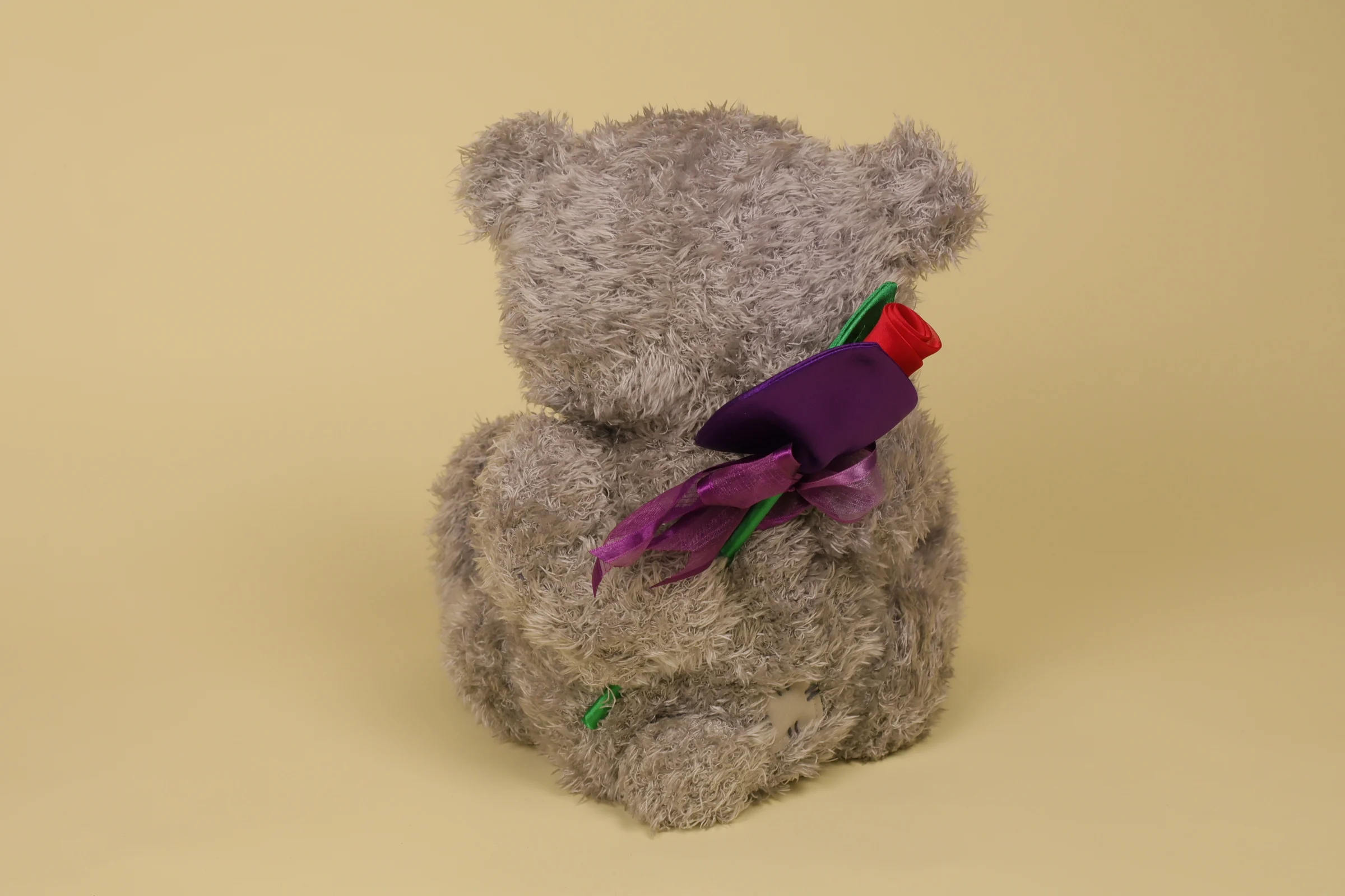 ours gris timide fleur cachée