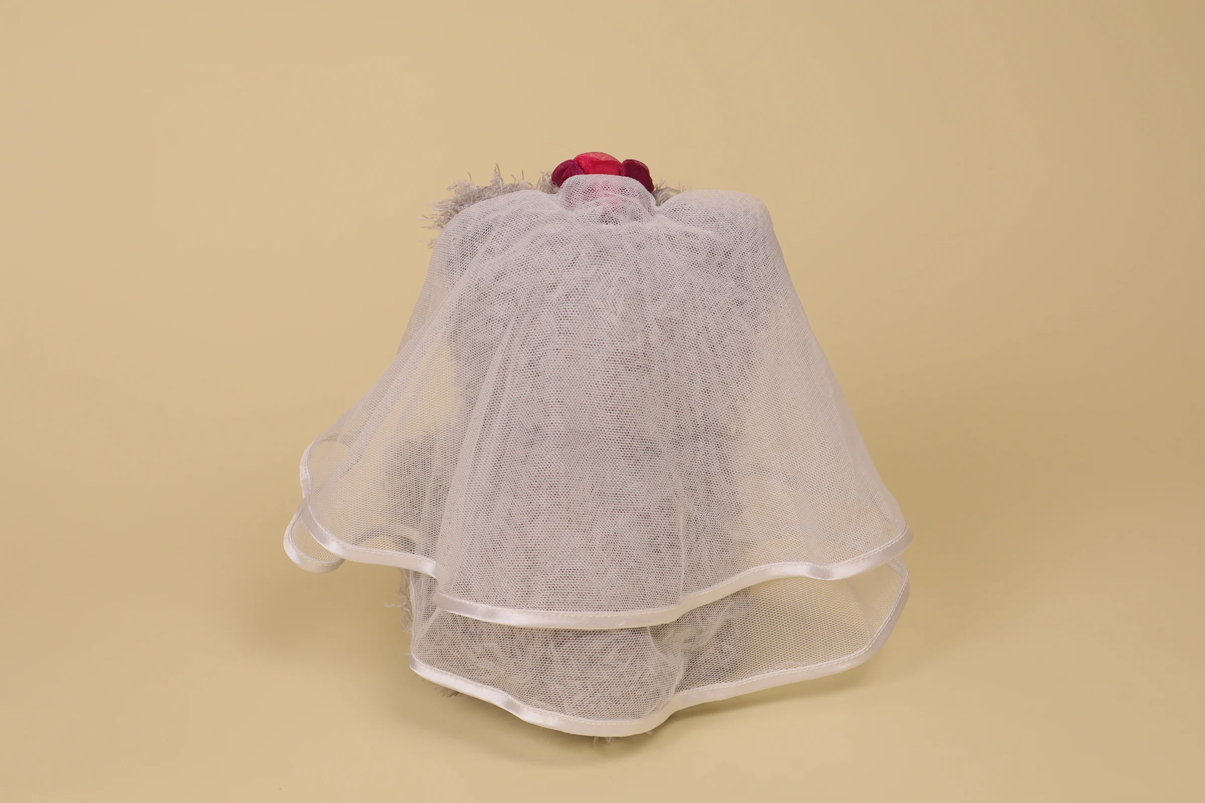 ours gris mariée dos