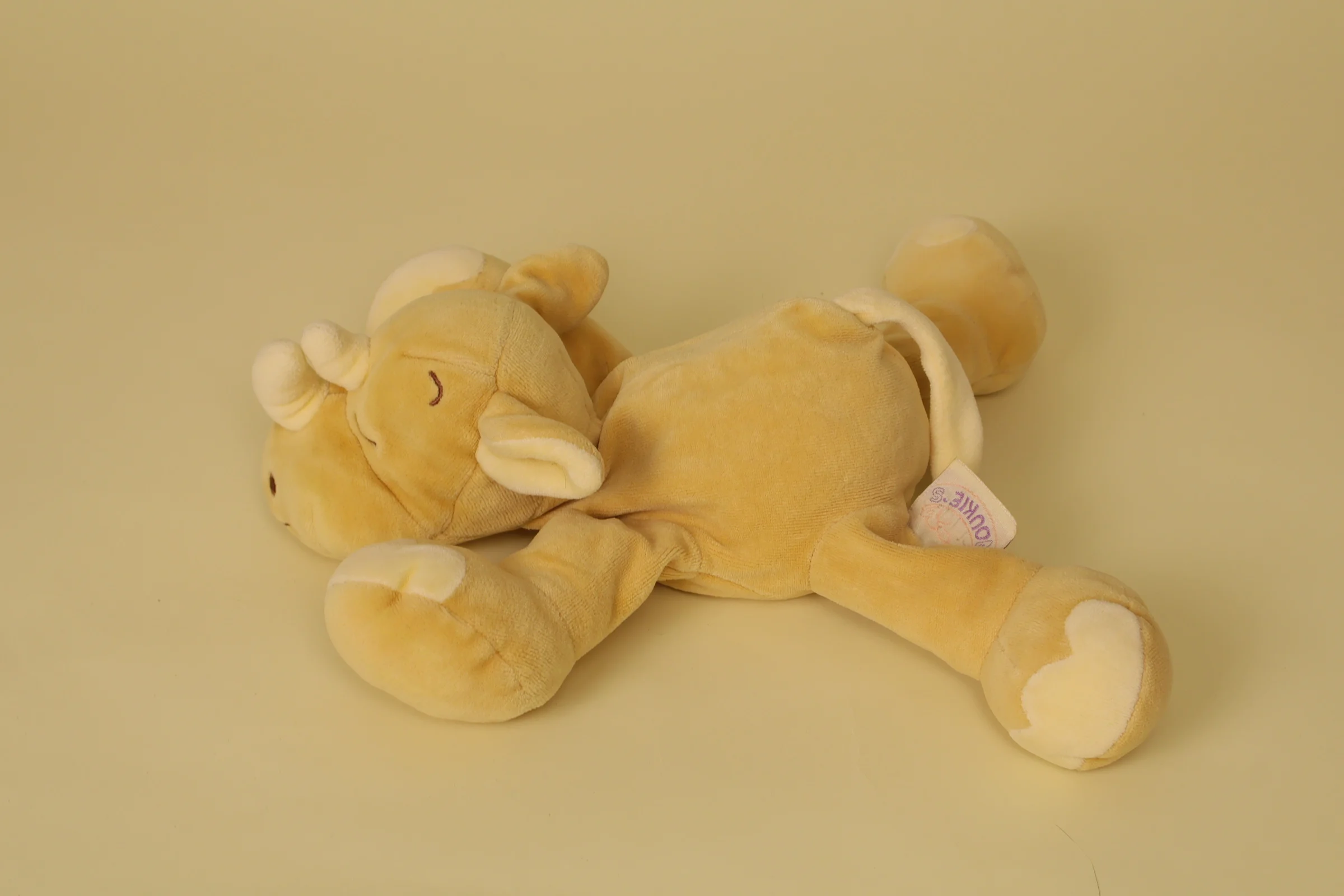 rhinocéros kirafu allongé